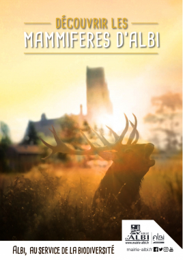 albi mammifère