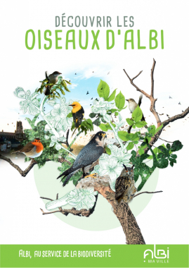 Albi Oiseaux