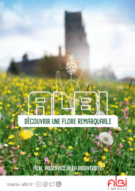 albi