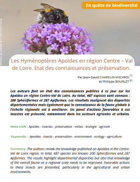 Hyménoptères