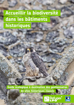 Accueillir la biodiversité dans les bâtiments historiques
