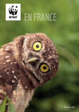 WWF France