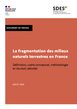 Fragmentation SDES