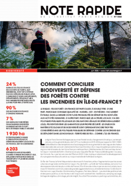 ARB IDF
