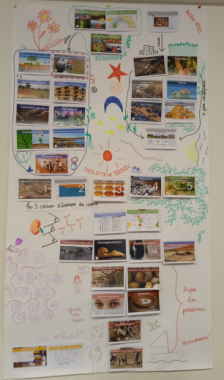 Fresque de la biodiversité
