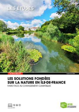 SFN ARB Ile de France