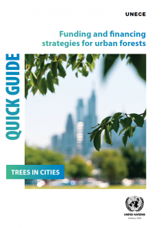 Funding and financing strategies for urban forests