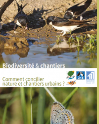 Biodiversité &amp; chantiers - Comment concilier nature et chantiers urbains ?