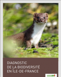Diagnostic de la biodiversité en Ile-de-France