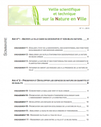 Couverture Bulletin de veille n°11