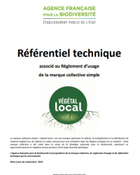 Végétal local