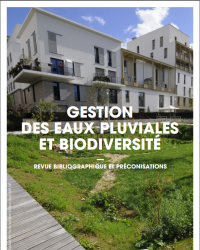 gestion des eaux pluviales et biodiversité