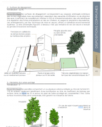 arbres protégés Orléans