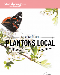 plantons local