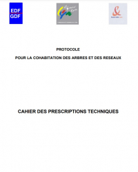 Protocole de cohabitation entre les arbres et les réseaux