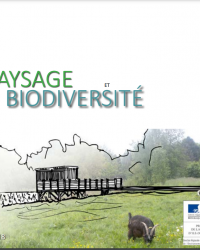 Paysage et biodiversité