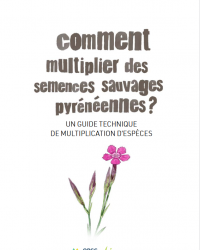 multiplication semences sauvages