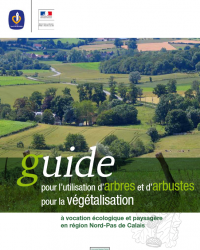 guide pour l’utilisation d’arbres et d’arbustes pour la végétalisation