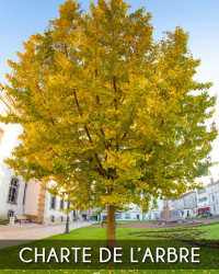 charte arbre Lunéville