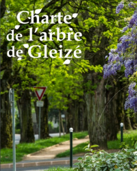 gleizé