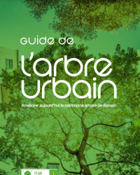 l'arbre urbain