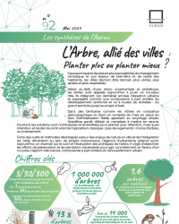 AURAN l'arbre, allié des villes