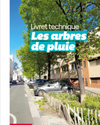 arbres de pluie