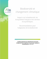 FRB