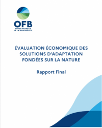 OFB 