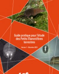 GUIDE PRATIQUE POUR L’ÉTUDE DES PETITS MAMMIFÈRES TERRESTRES