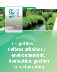 PIREN SEINE