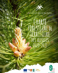charte forestière Aureille