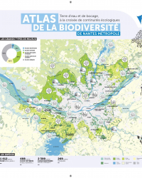 ABC : cartes de synthèse des espèces et milieux emblématiques - Nantes Métropole