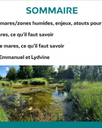 favoriser la biodiversité dans nos fermes