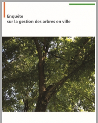 Enquête sur la gestion des arbres en ville
