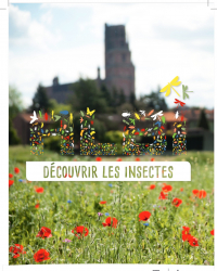 albi insectes