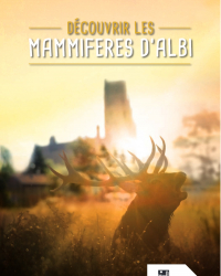 albi mammifère