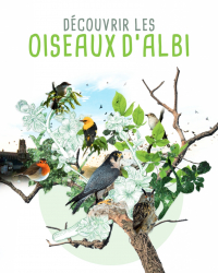 Albi Oiseaux