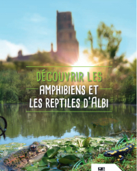 albi reptiles