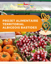 albi PAT 1er bilan