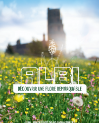albi