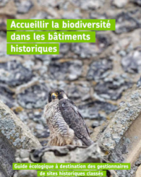 Accueillir la biodiversité dans les bâtiments historiques