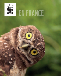 WWF France