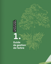 Guide de l'arbre