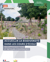cerema cour d'école