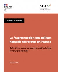 Fragmentation SDES