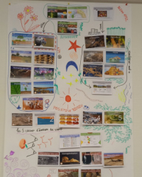 Fresque de la biodiversité