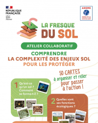 Fresque du sol