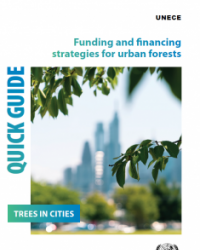 Funding and financing strategies for urban forests