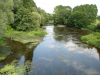  La rivière Anglin, en direction de Mauvières, à Concremiers (36).